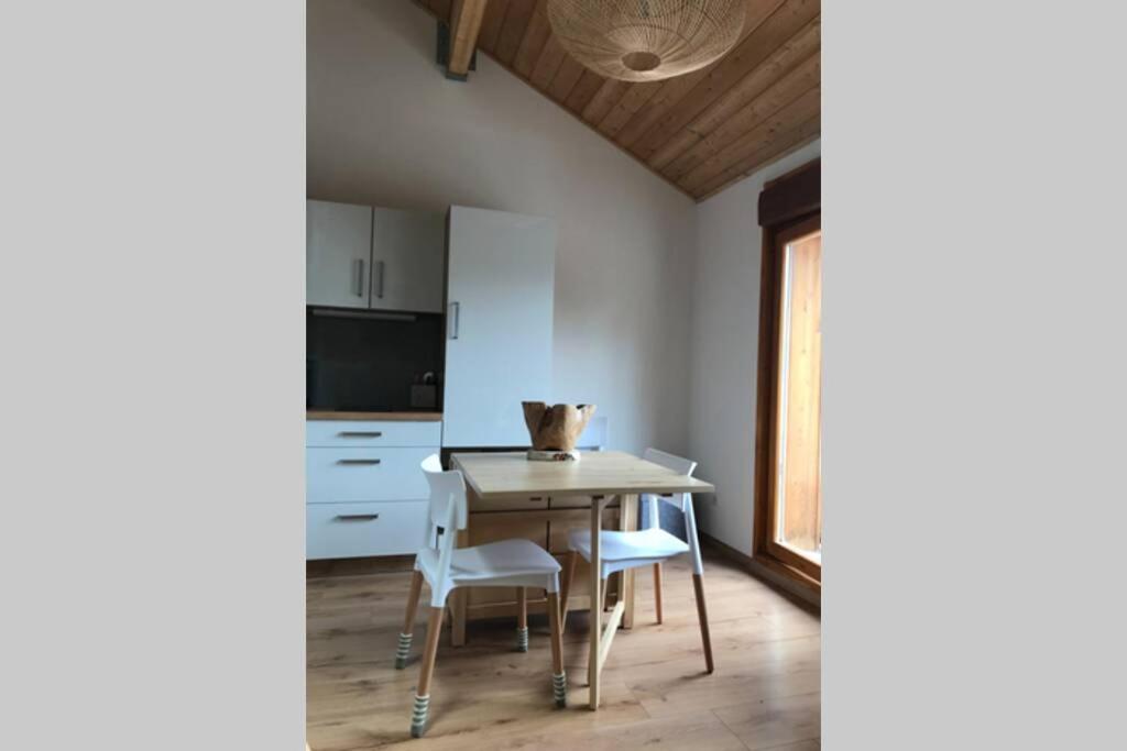 Magnifique Appartement A La Joue Du Loup Saint-Étienne-en-Dévoluy Exterior foto